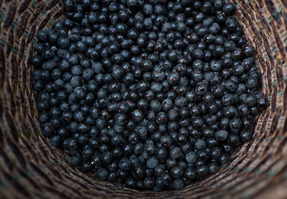 
                  
                    Load image into Gallery viewer, Fresh Acai Berries
                  
                
