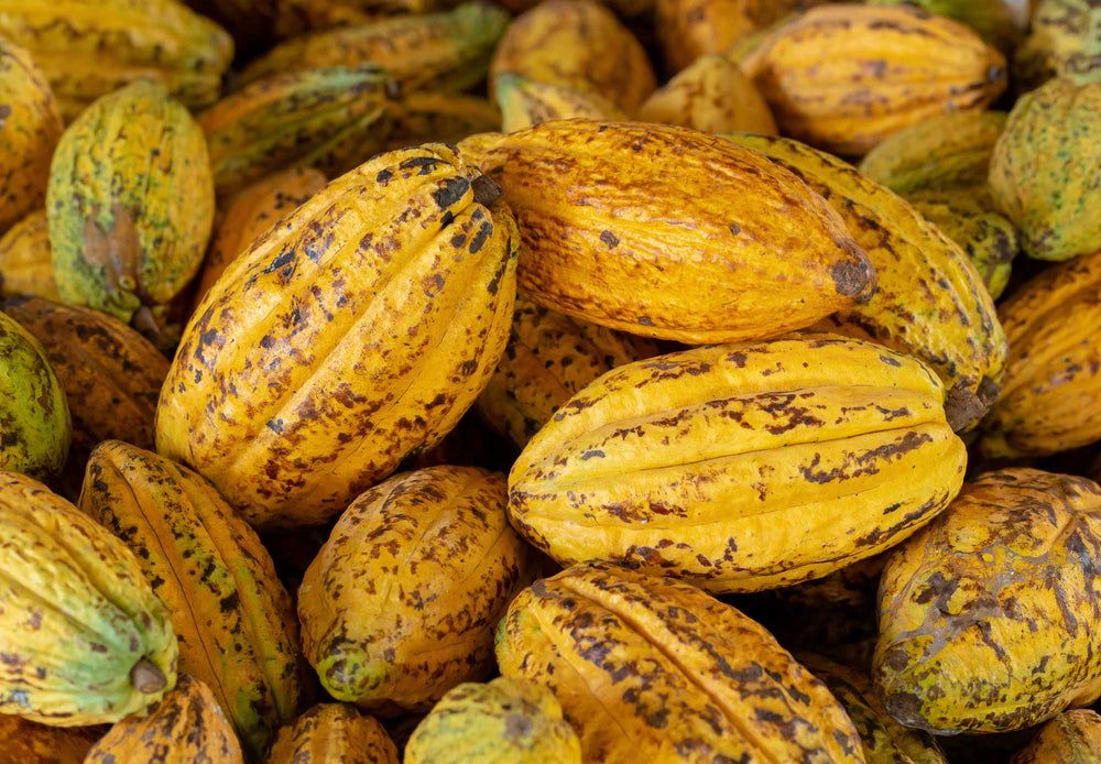 
                  
                    Load image into Gallery viewer, Cacao Fruits
                  
                